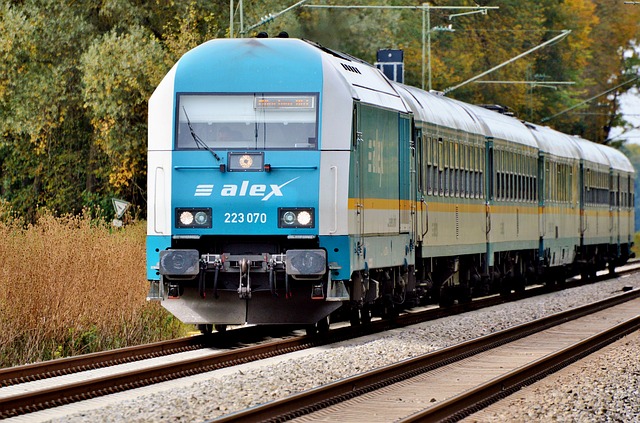 rychlík alex.jpg
